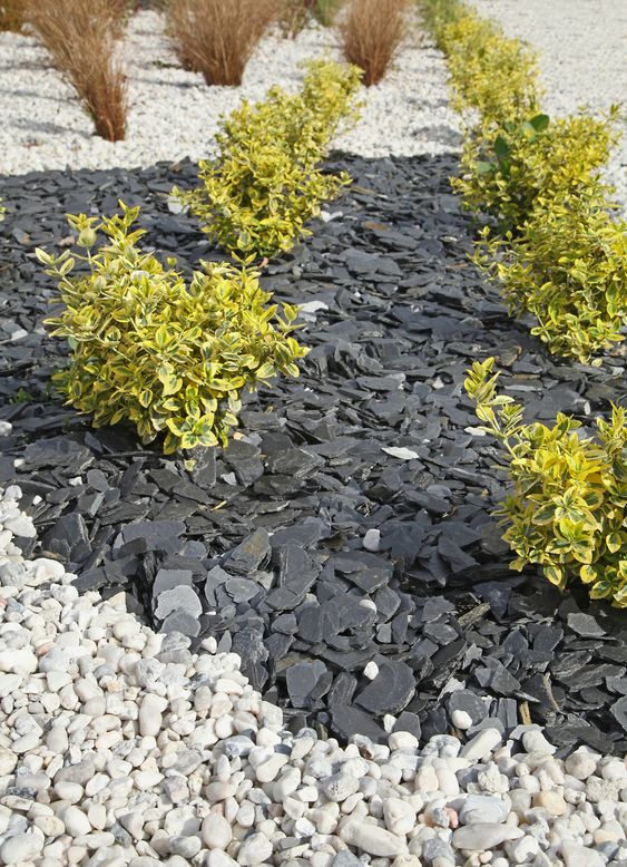 aménagement de jardin dans un rez-de-jardin