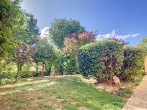 arbre et arbustes plantés dans un rez-de-jardin